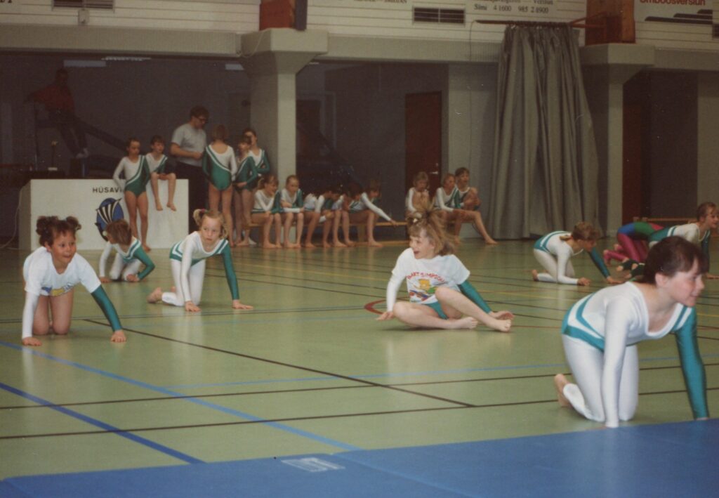 Fimleikar 1991-1995