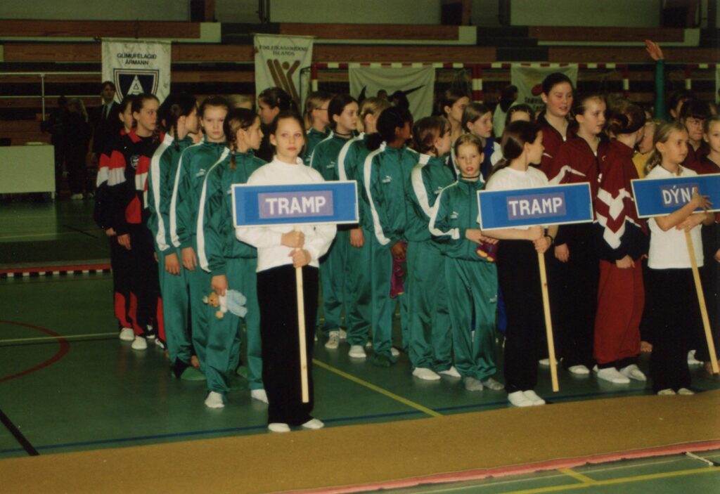 Fimleikar 1991-1995